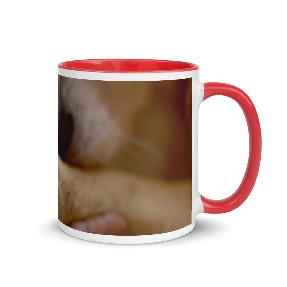 Pets Mug with Color Inside
