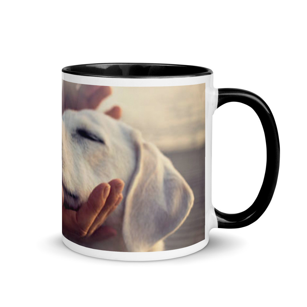 Pets Mug with Color Inside