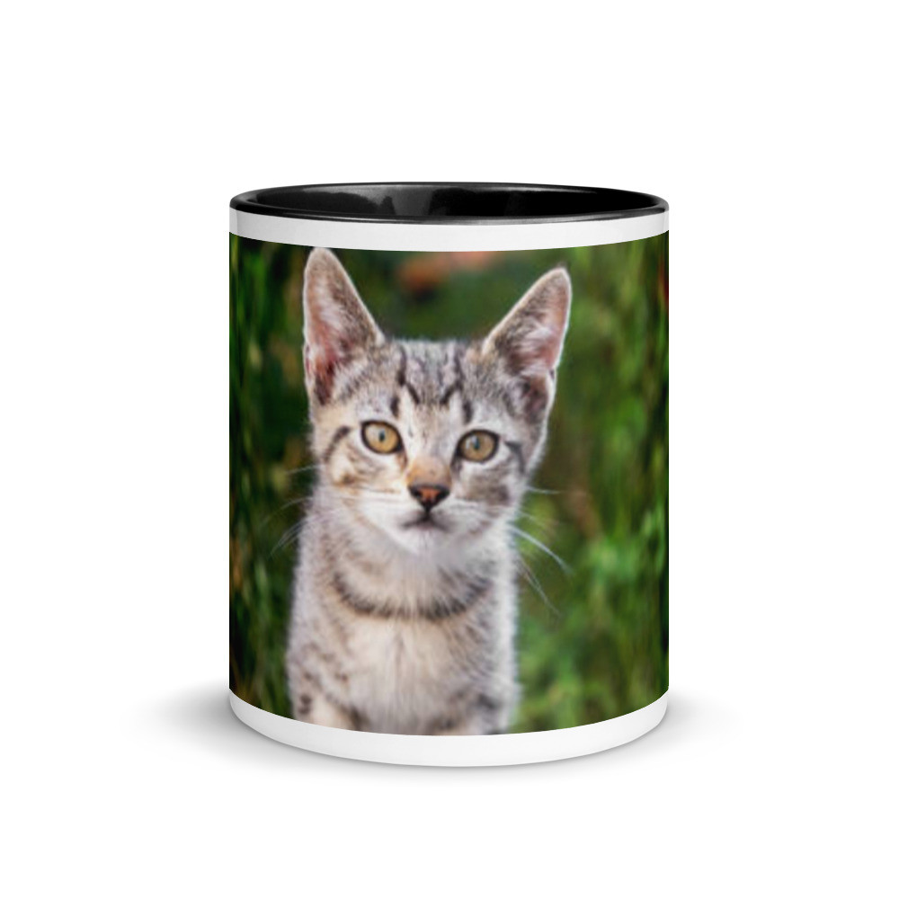 Pets Mug with Color Inside