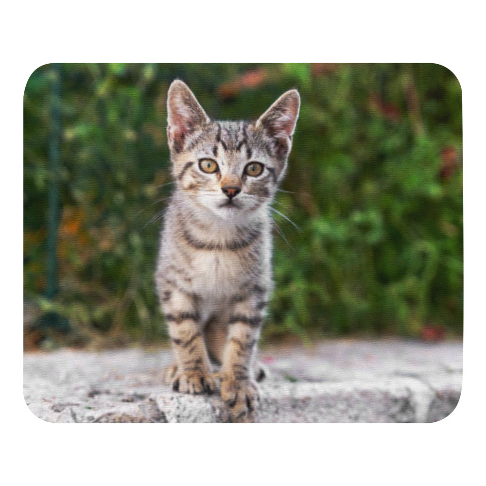 Pets Mouse pad