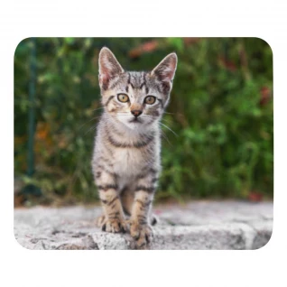 Pets Mouse pad