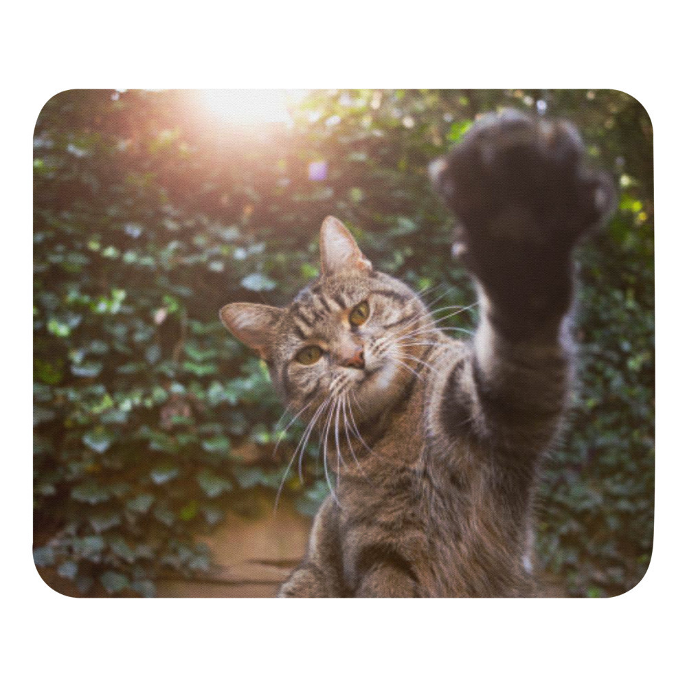 Pets Mouse pad