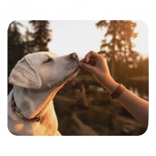 Pets Mouse pad