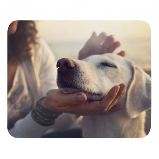 Pets Mouse pad