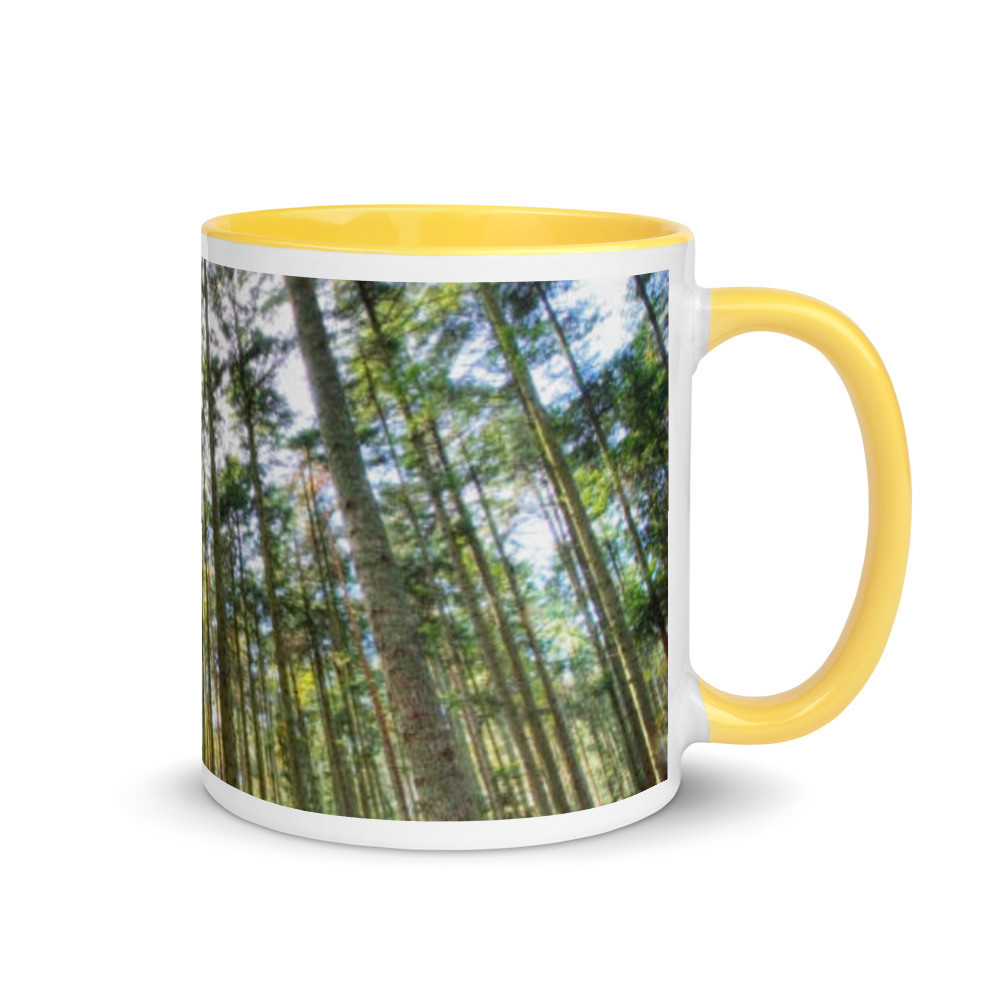 Landscape Mug with Color Inside
