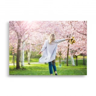 Landscape Poster