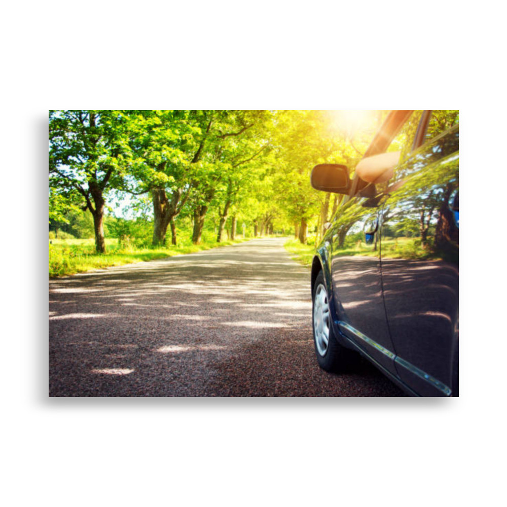 Landscape Poster