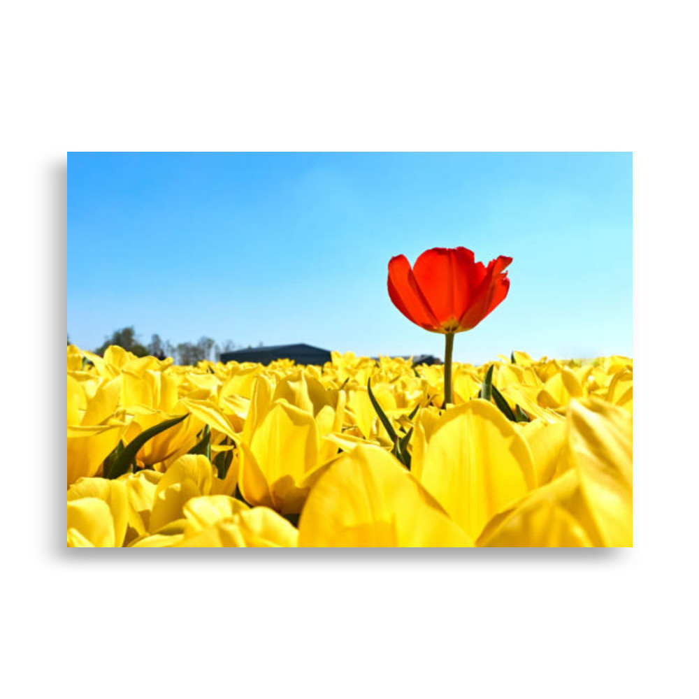 Landscape Poster
