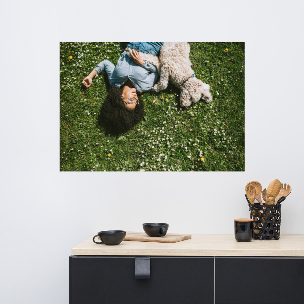 Pets Poster