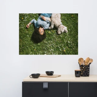 Pets Poster