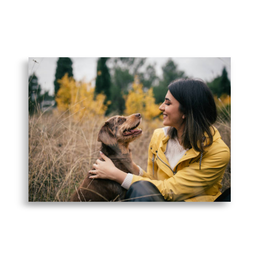 Pets Poster