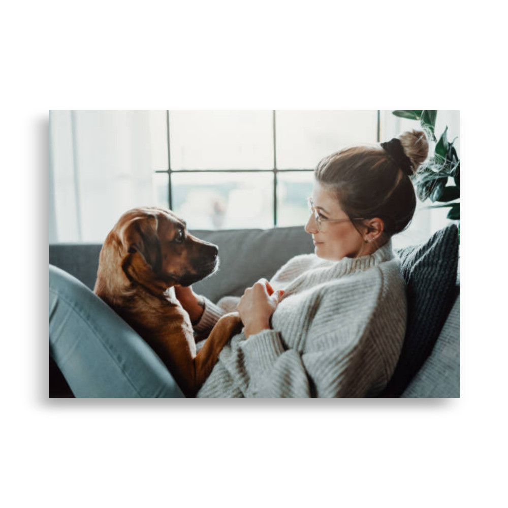 Pets Poster