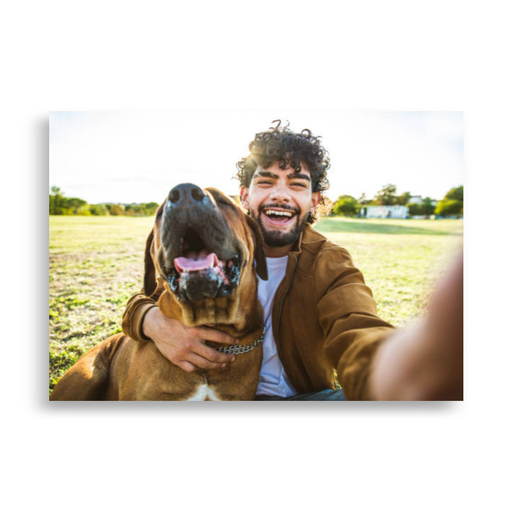 Pets Poster