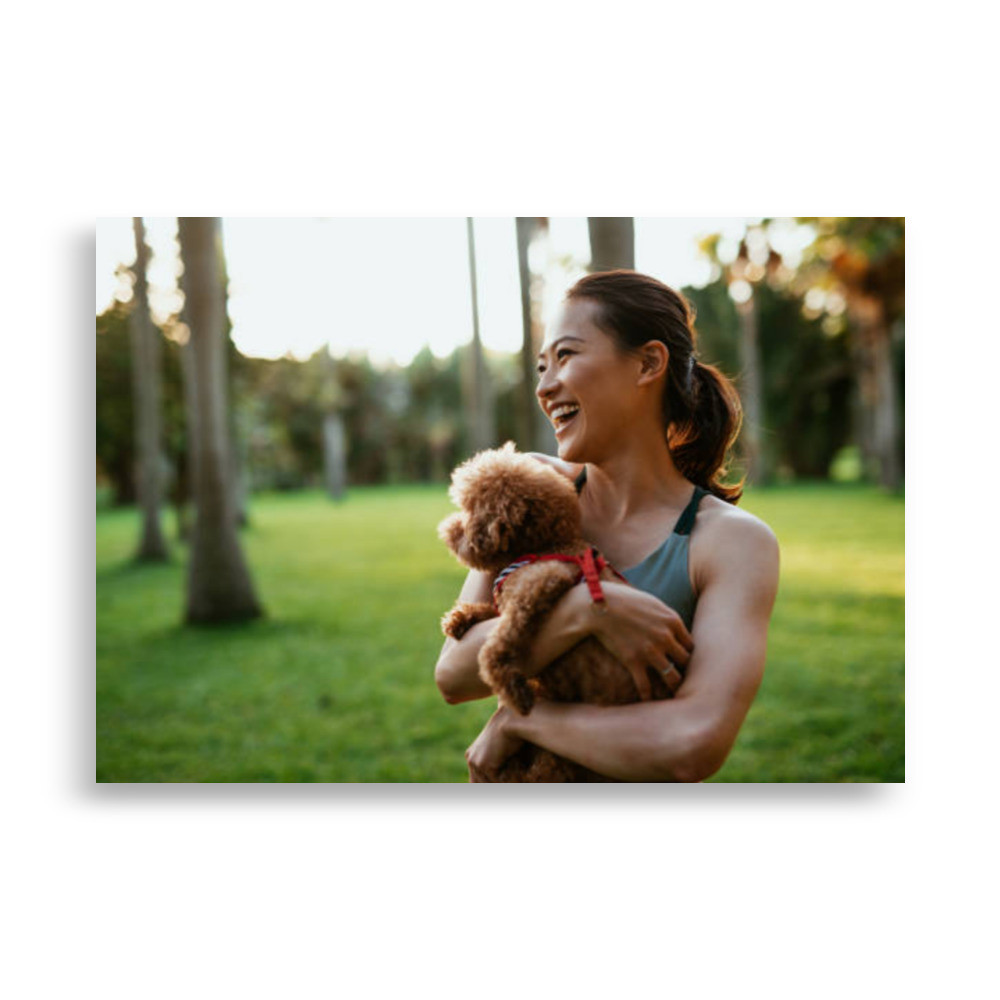 Pets Poster