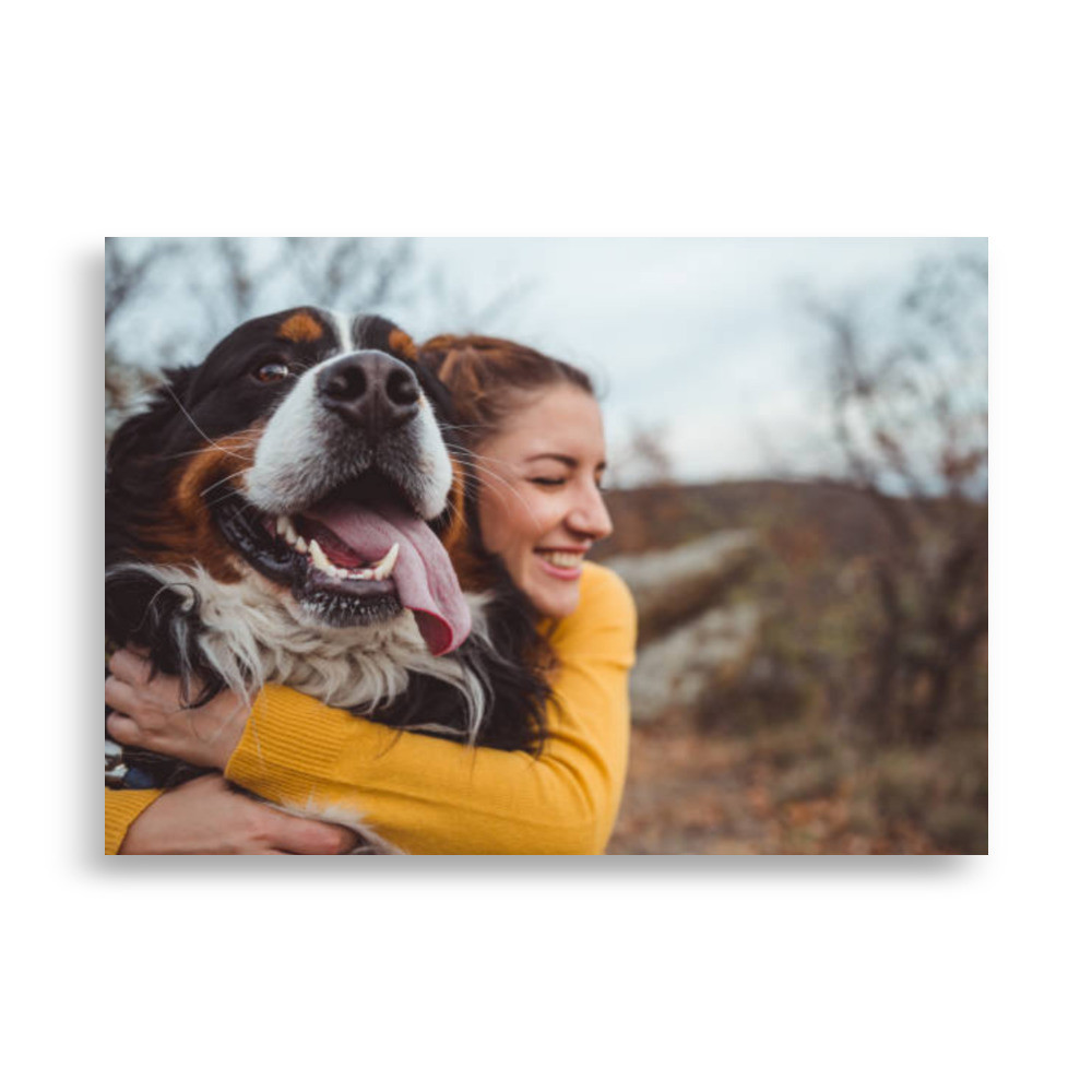 Pets Poster