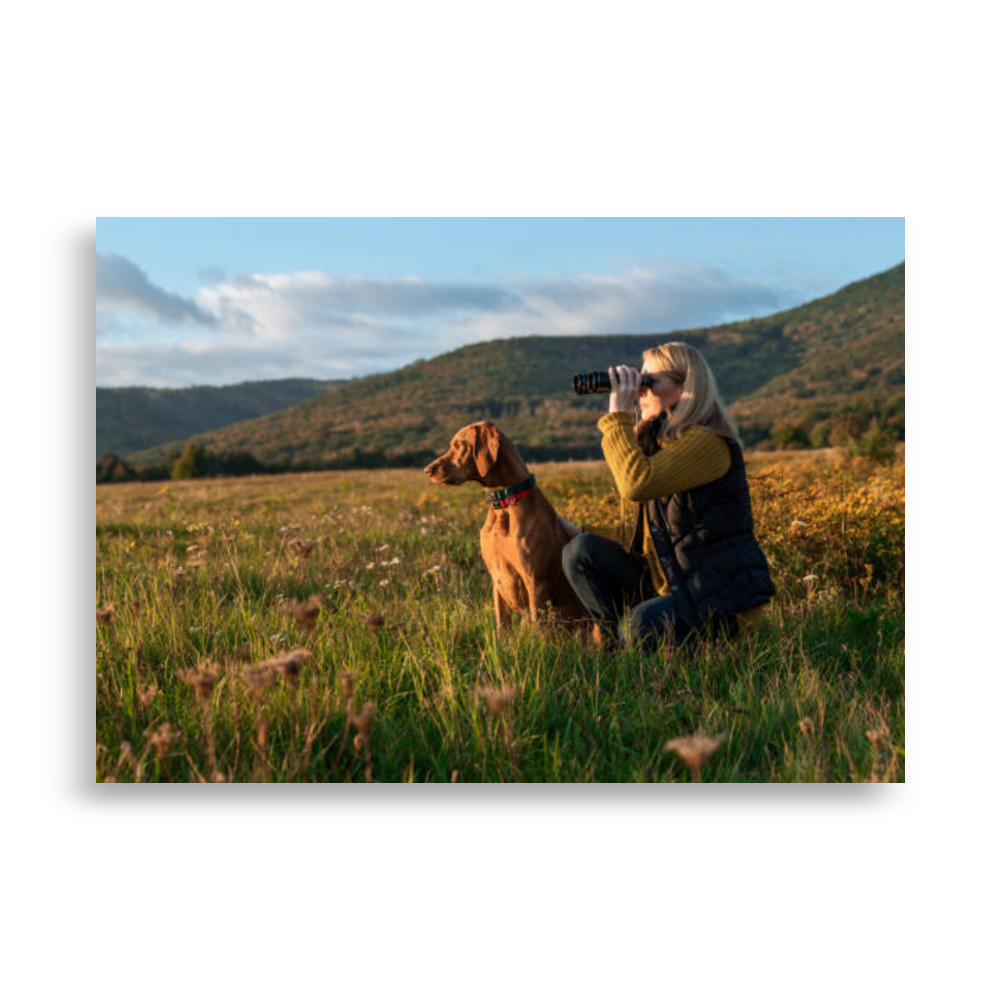 Pets Poster
