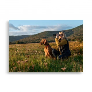 Pets Poster