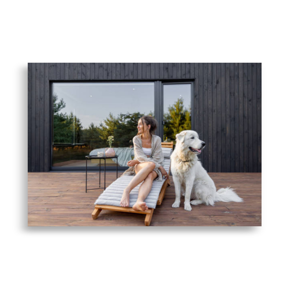 Pets Poster