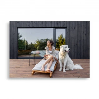 Pets Poster