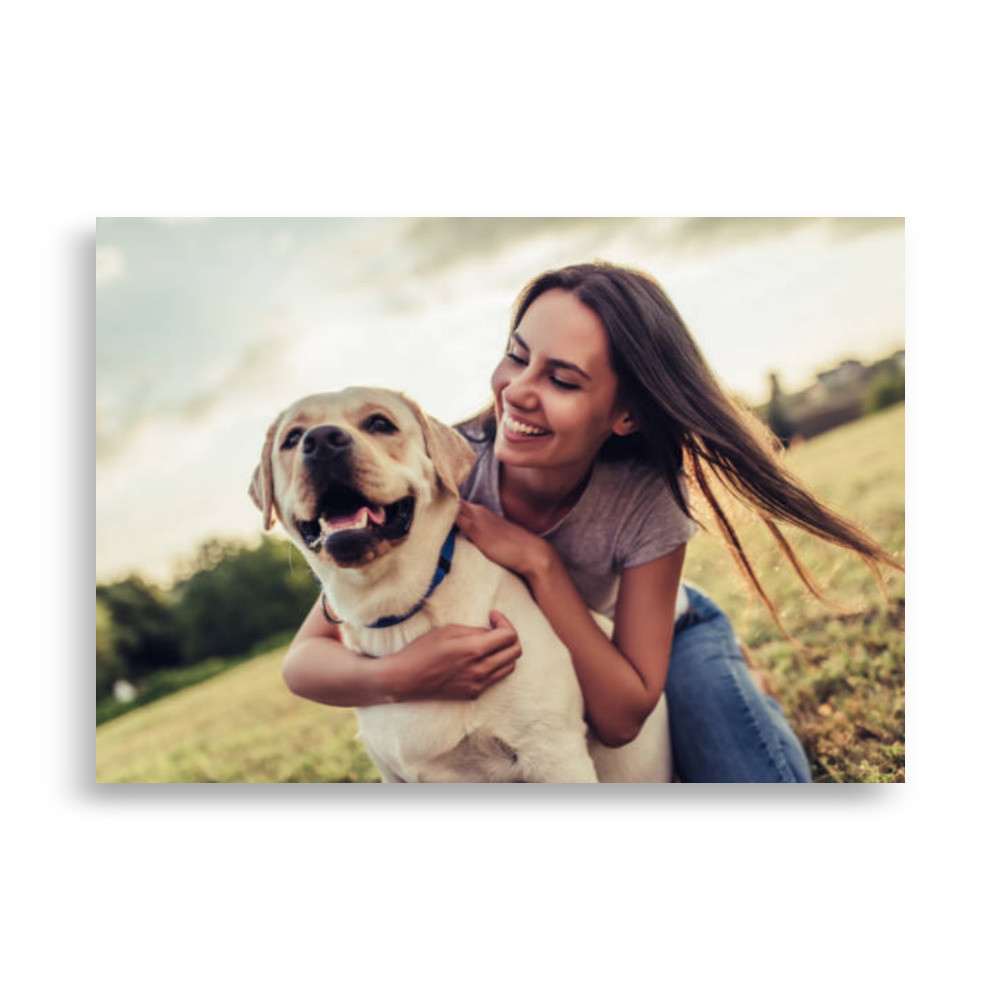 Pets Poster
