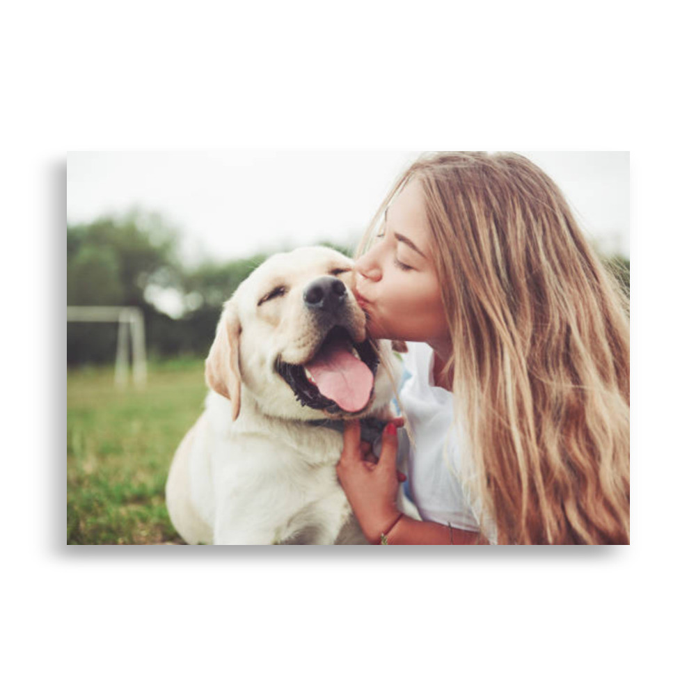 Pets Poster