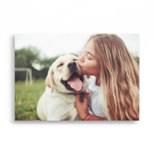 Pets Poster