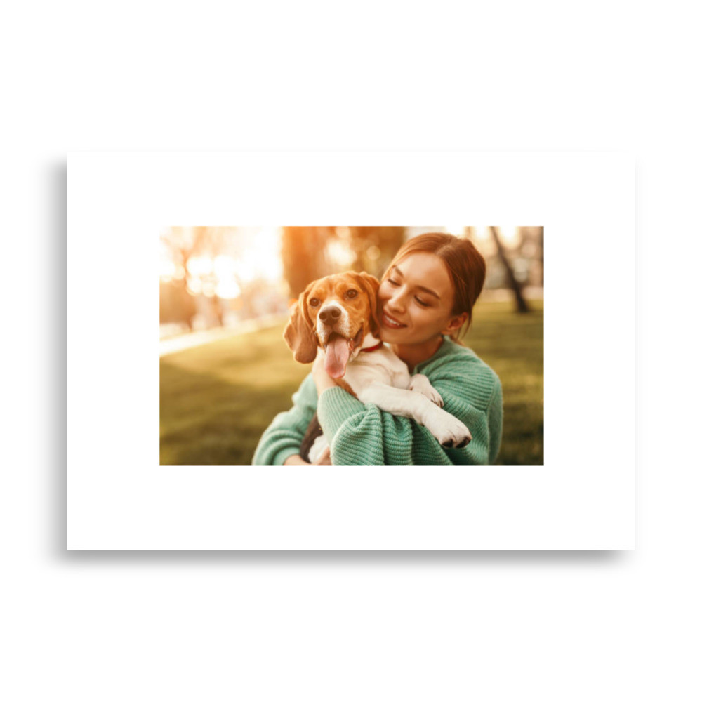 Pets Poster
