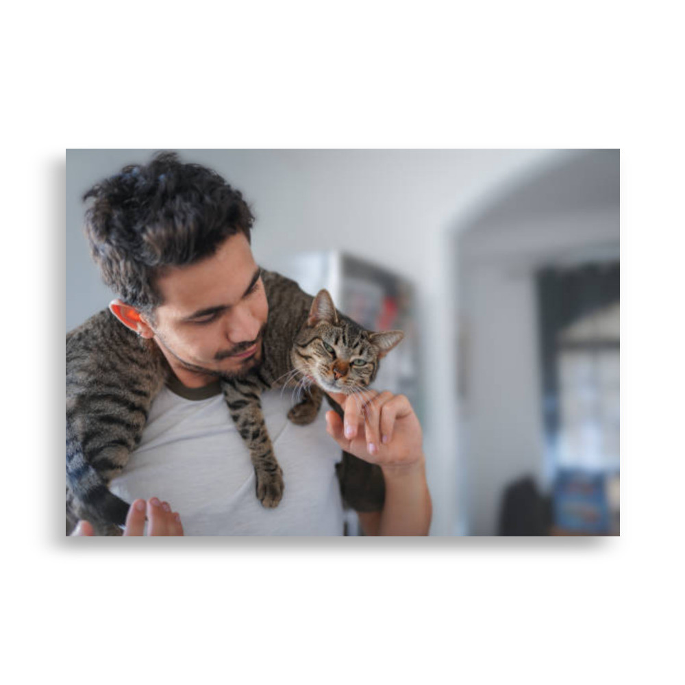 Pets Poster
