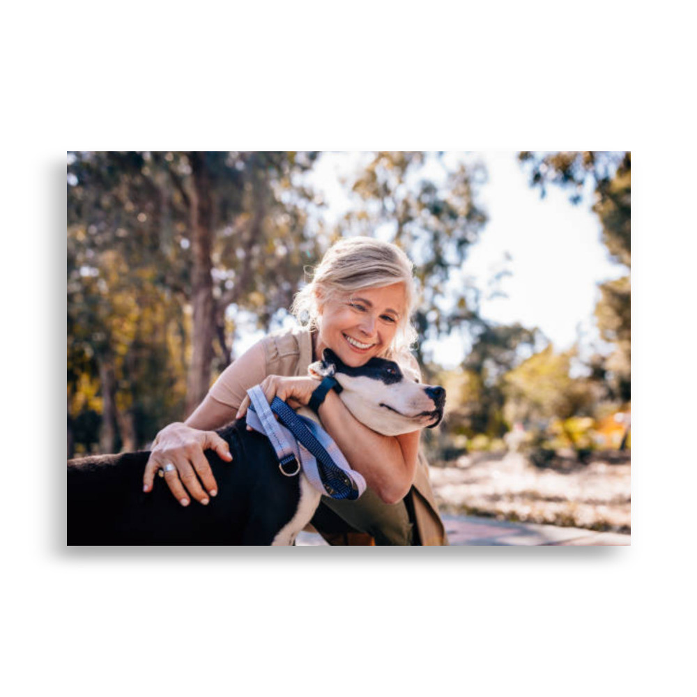 Pets Poster