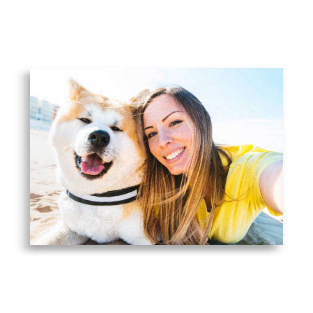 Pets Poster