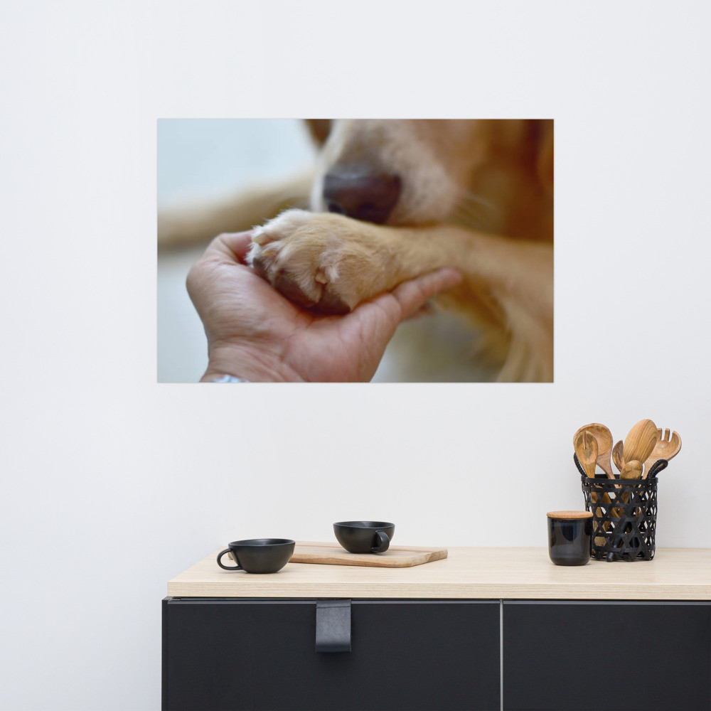 Pets Poster