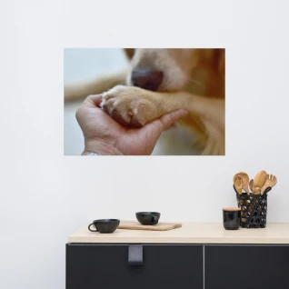 Pets Poster