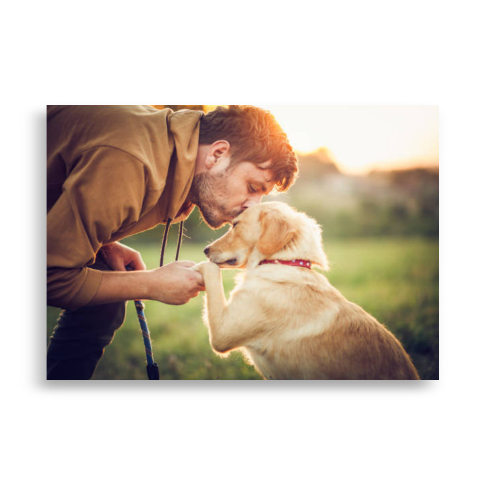 Pets Poster