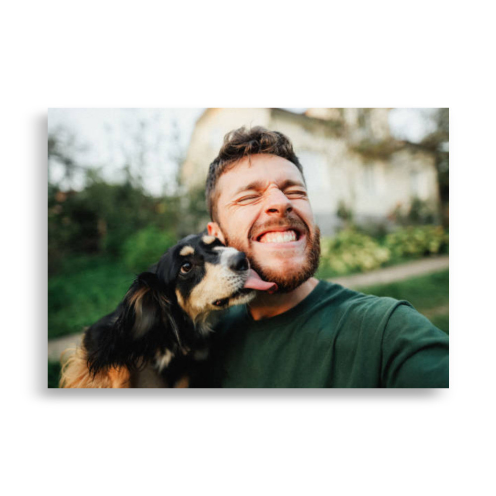 Pets Poster