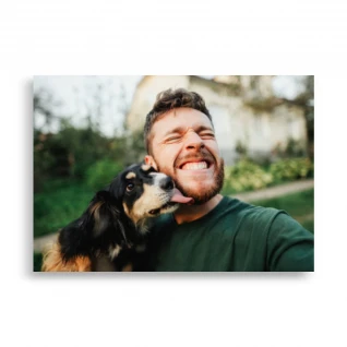 Pets Poster