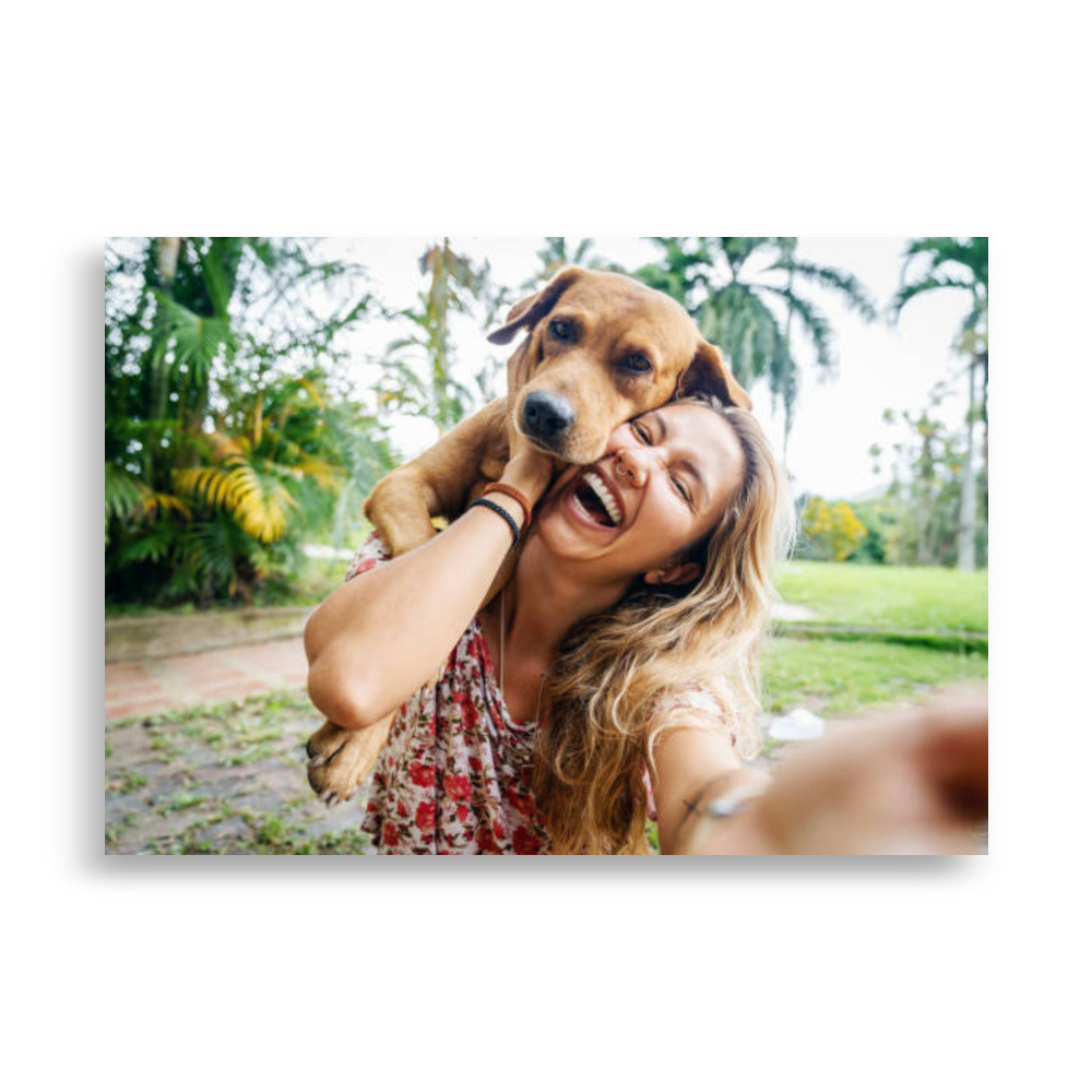 Pets Poster