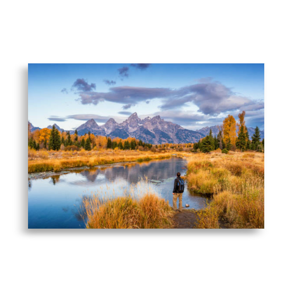 Landscape Poster