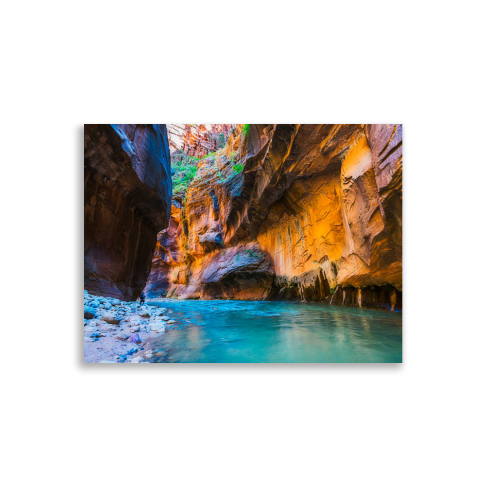 Landscape Poster