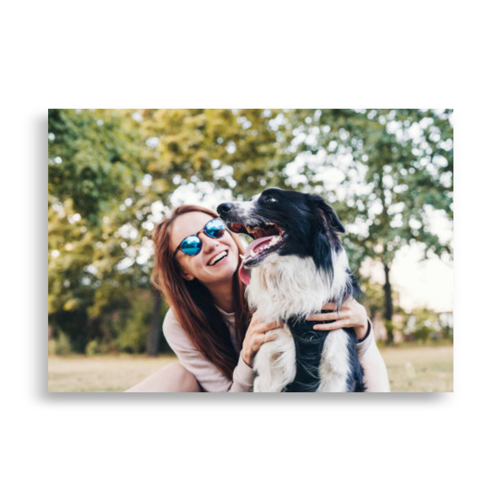 Pets Poster