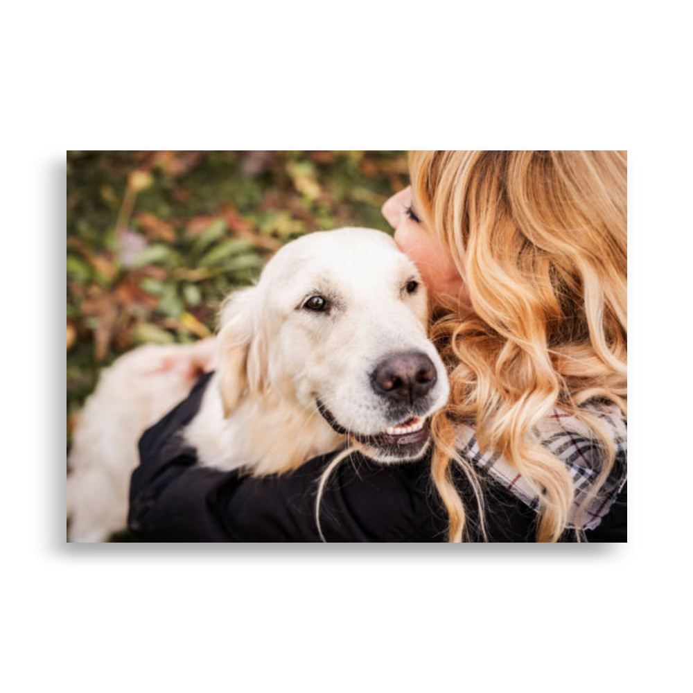 Pets Poster