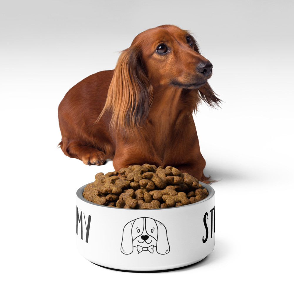 Pet bowl: Yummy Stuff