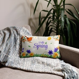 Basic Pillow: Hello Spring