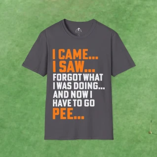 I Came...