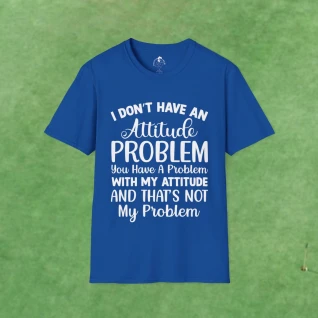 Attitude Problem
