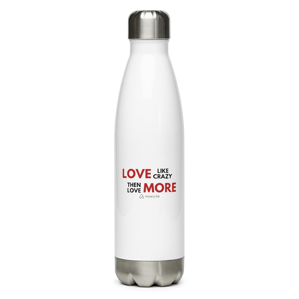 Love Like Crazy Then Love More: Stainless Steel Water Bottle