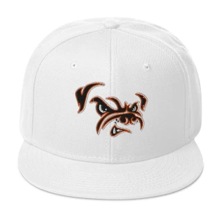 Dawg Snapback Hat