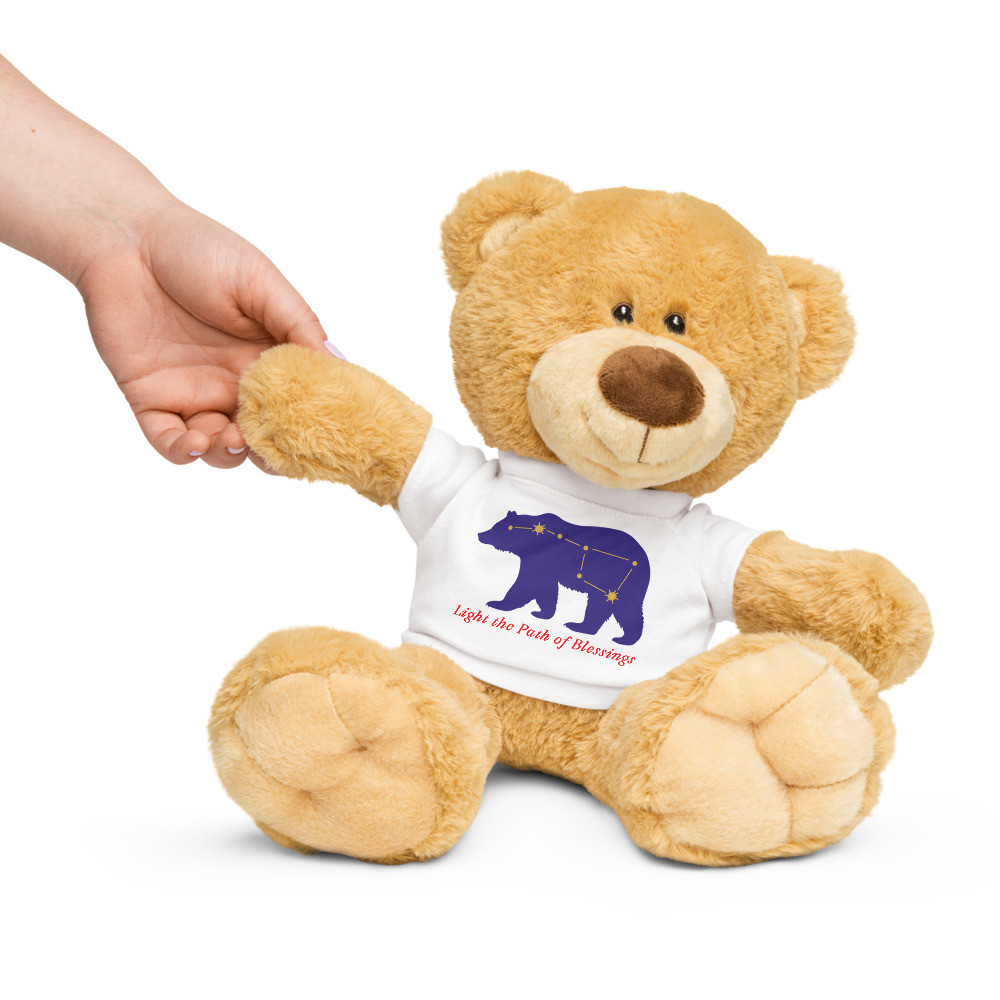 Teddy bear with a t-shirt