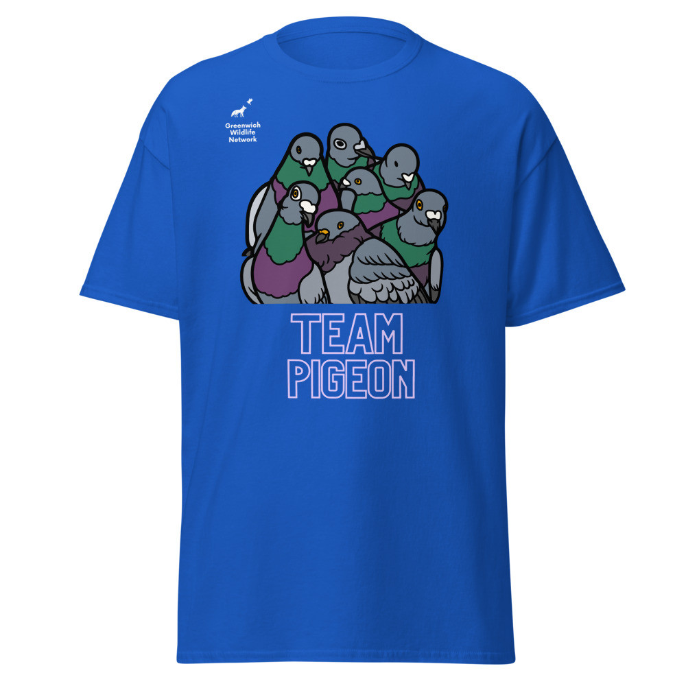 Team Pigeon t-shirt