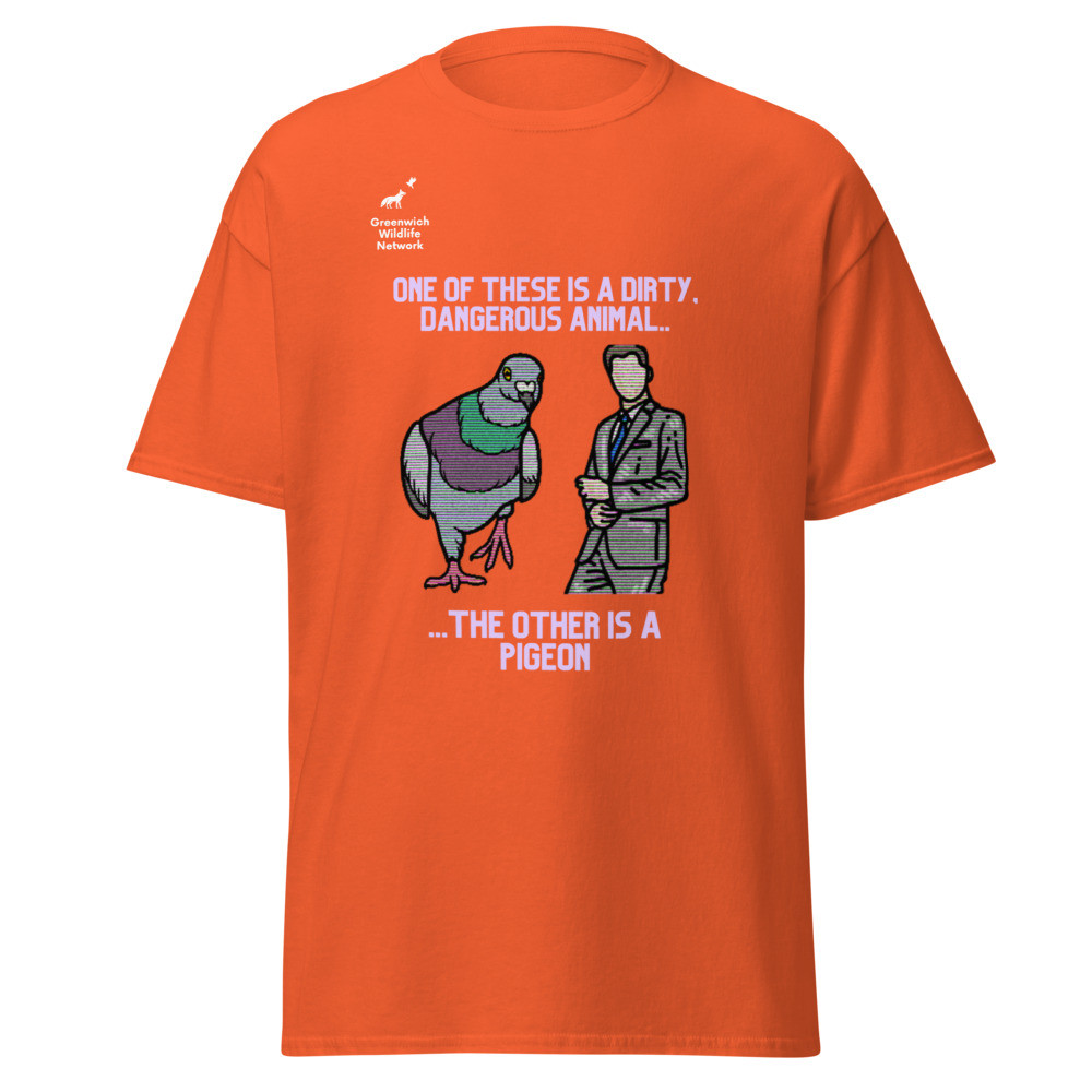 Team Pigeon "one of these……" t-shirt