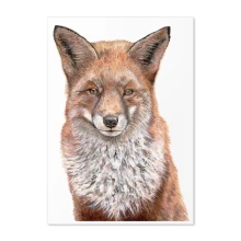 Tracey Parsons Fox greeting card